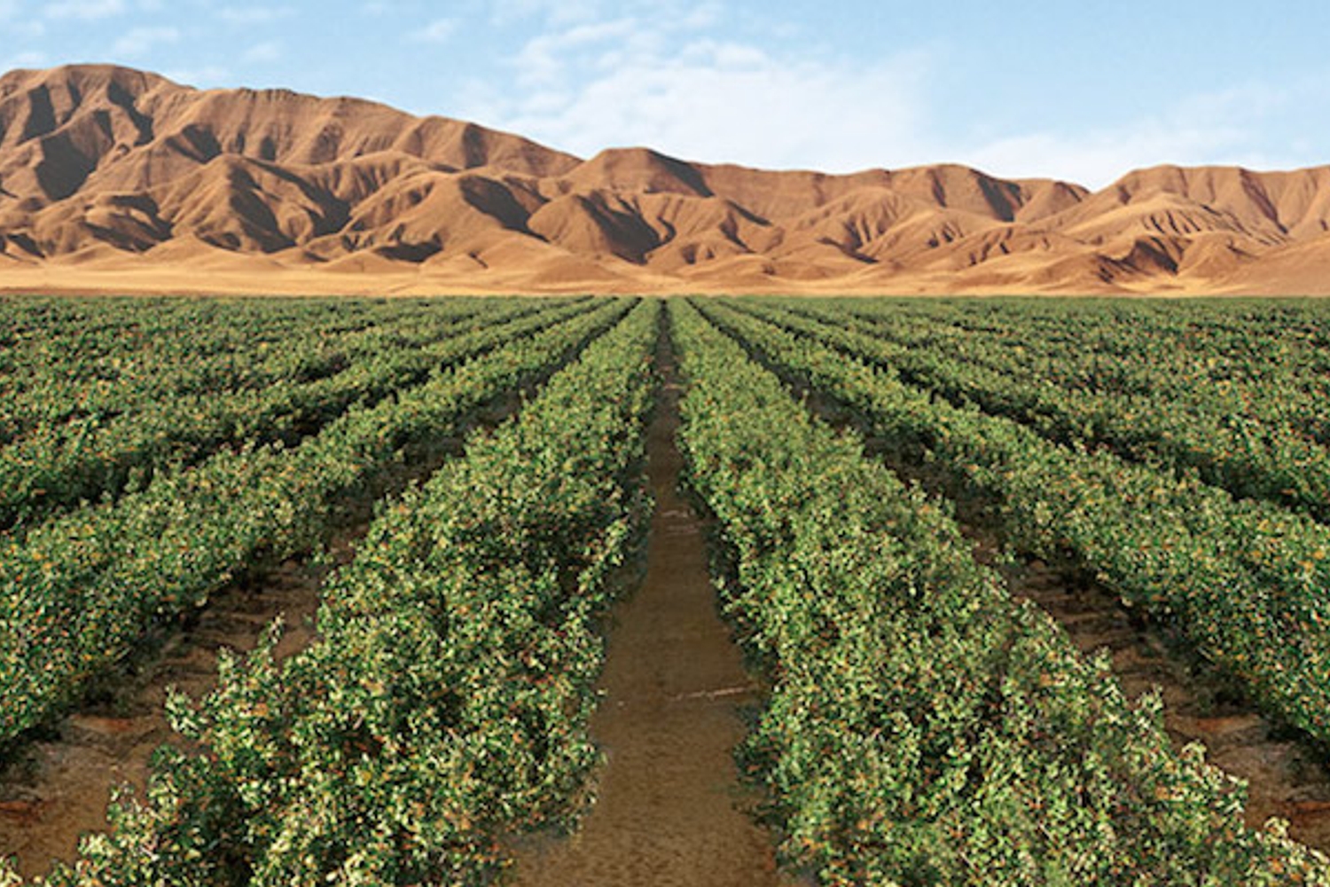 برای فراهم کردن بستر خدمت در استان خودم از رئیس جمهور سپاسگزارم/ اولین خواسته‌ام توقف مازوت‌سوزی در نیروگاه شازند بود